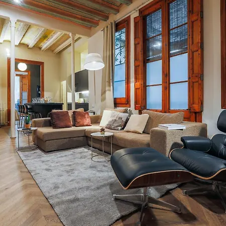 Avinyo 2 Gotic - Spacious Loft In Gothic Quarter! Apartment *